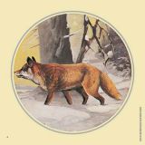Jagdscheiben “Fuchs”, Art.-Nr. 8004
