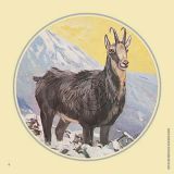 Jagdscheiben "Gamsbock", Art.-Nr. 8006