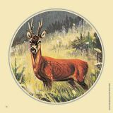 Jagdscheiben "Rehbock", Art.-Nr. 8014